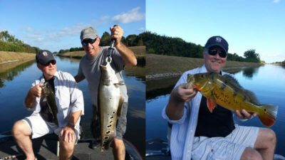 Peacock Bass Fish Lake Ida