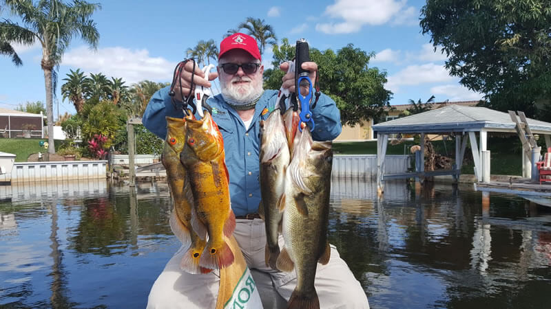 Florida Fishing For Miami Peacock Bass