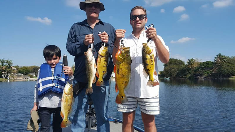Miami Florida Peacock Bass Fishing