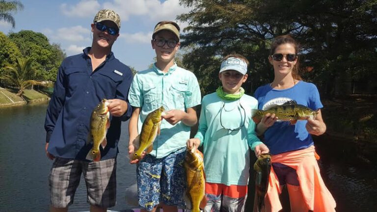 South Miami Peacock Bass Fishing Adventure.