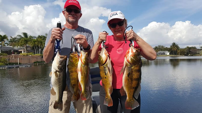 Personal Best Peacock and Largemouth Bass