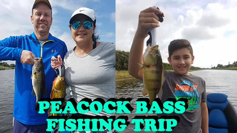 Florida Freshwater Peacock Bass Fishing Adventure