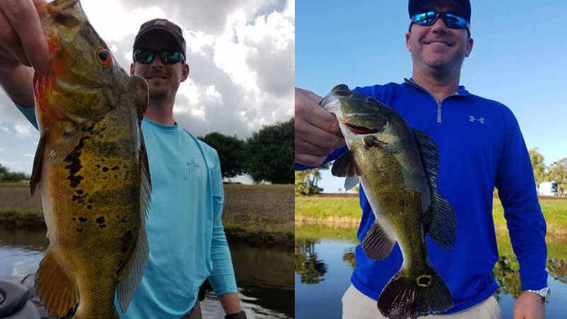 Peacock Bass Fishing Lake Ida