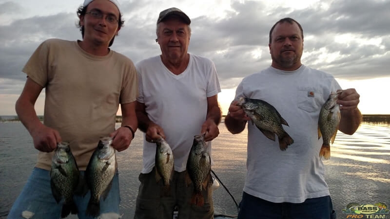 Crappie Florida Fishing