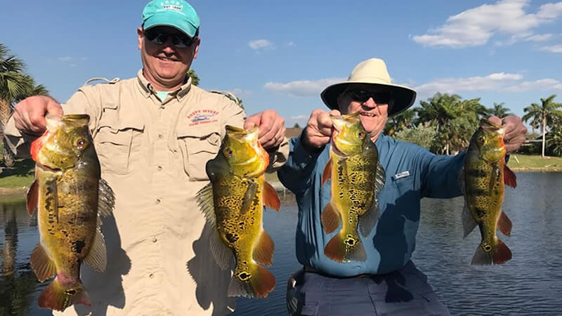 South West Florida Bass Fishing