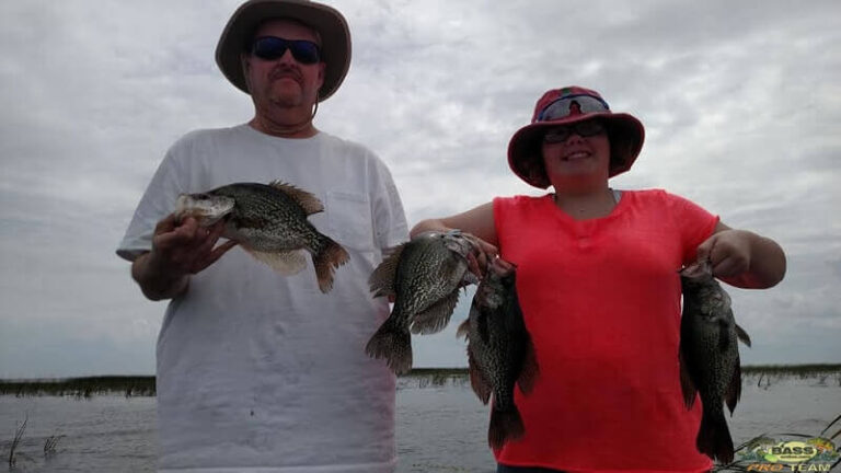 Crappie Fishing Harney Pond - Serene Lake Okeechobee landscape with fishing boat