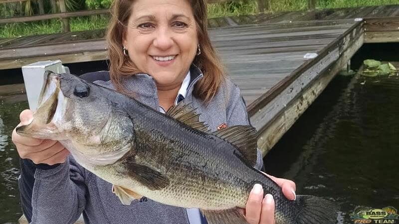 Cool Morning Bass Fishing