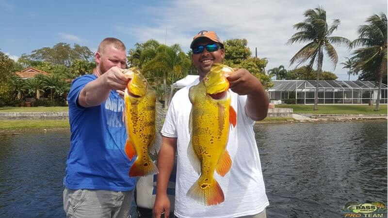 Miami Outdoor Activities