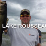 Lake Rousseau thumbnail