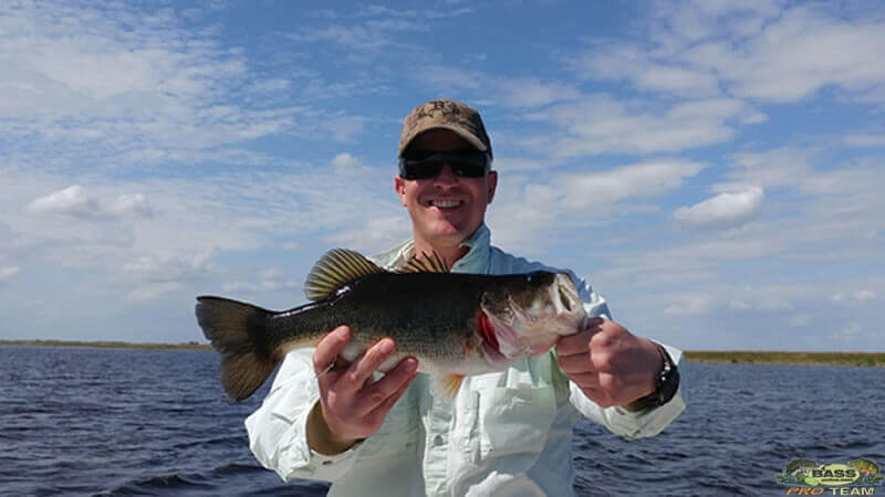 Berkley Soft Plastic Bass Fishing