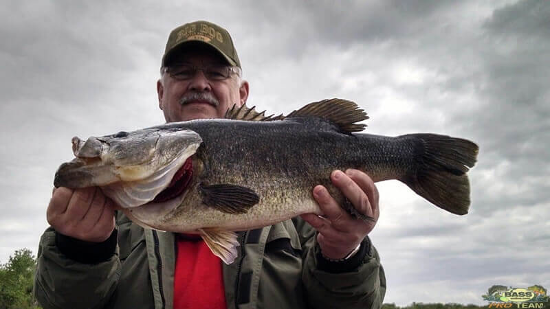 Big Bass Hunting