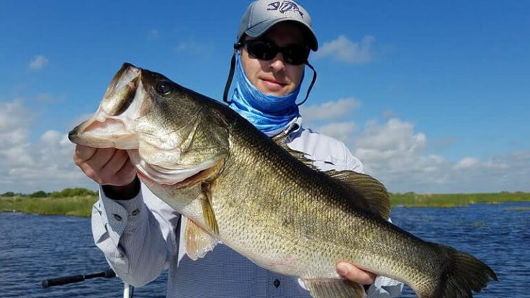 Light Tackle Bass Fishing