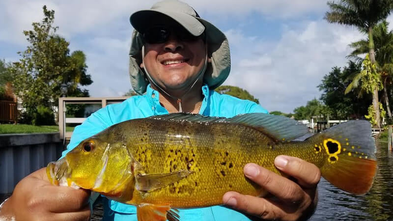 Peacock Bass Fishing Mission