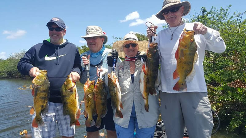 Group Peacock Bass Fishing Trip