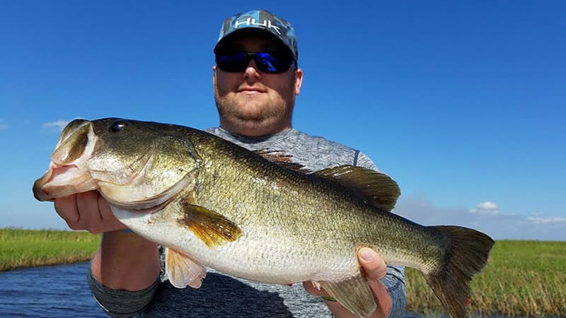 Shallow Water Bass Fishing Adventure
