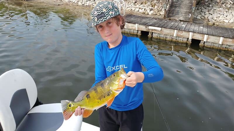 Golden Gate Peacock Bass Fishing