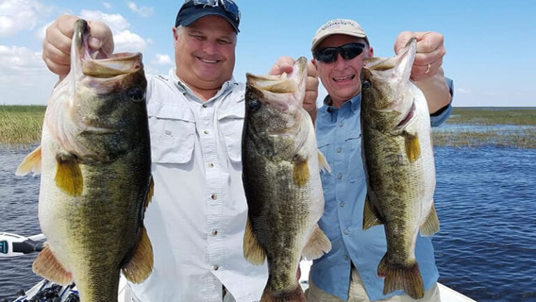 New Personal Best Largemouth Bass