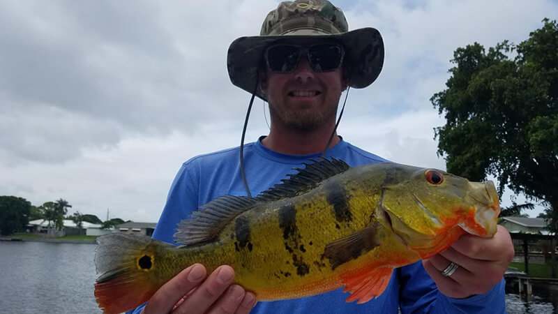 MLB Peacock Bass Fishing Charter