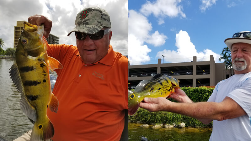 One Day Layover Bass Fishing Trip