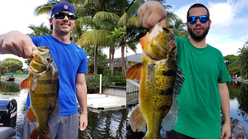 First Peacock Bass Fishing Adventure