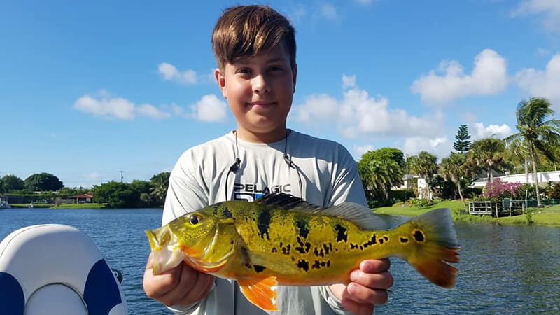 Miami Falls Peacock Bass Fishing Adventure