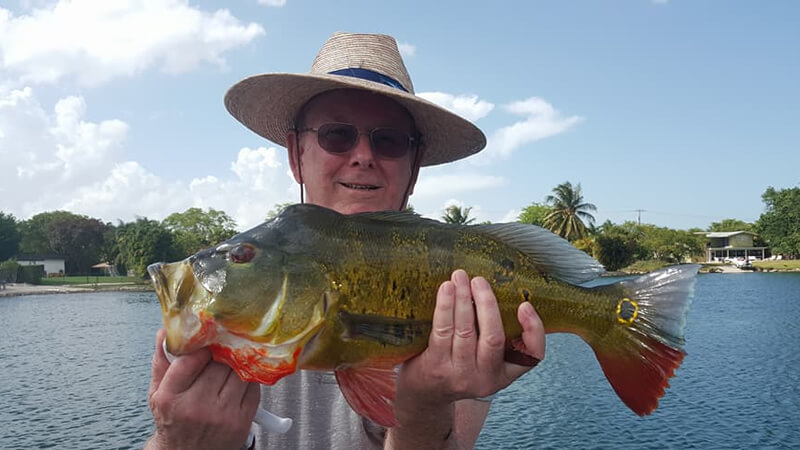 Miami Quality Peacock Bass Fishing