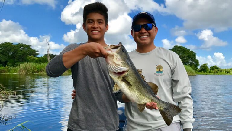 Sunny Shore Bass Fishing
