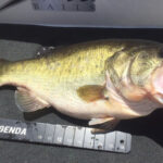 Lake Trafford thumbnail