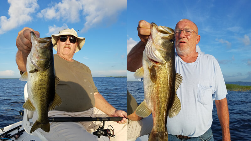 Live Bait Top Water Explosions