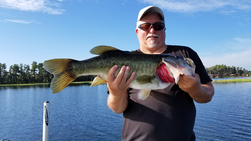 Summertime Lunker Bass Fishing Trip