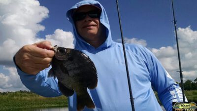 Shell Cracker Bream Fishing Trip