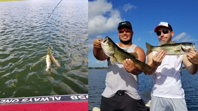 Unique Florida Fishing Charters