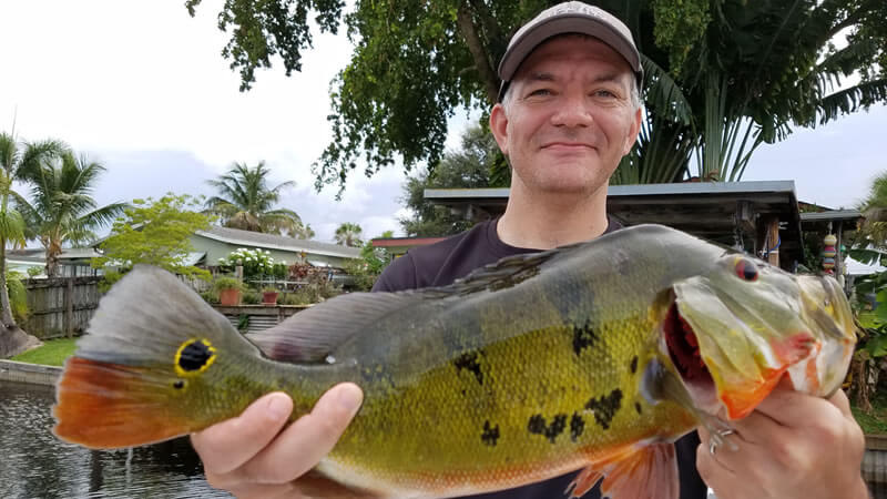 Hurricane Irma Peacock Bass Fishing