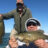 Spinner Bait Smallmouth Bass
