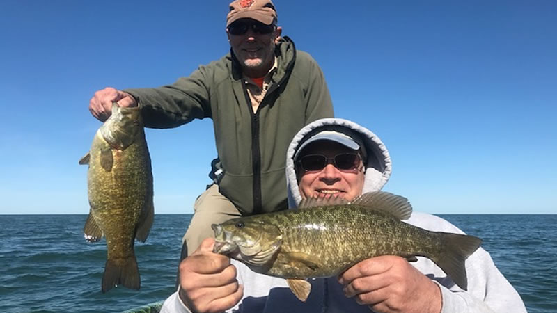 Spinner Bait Smallmouth Bass