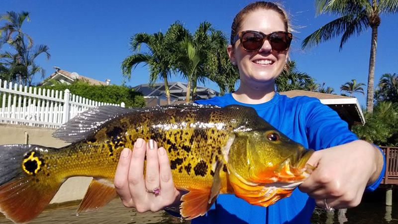 Awesome Lake Ida Trip 1 Lake Ida Fishing Guides