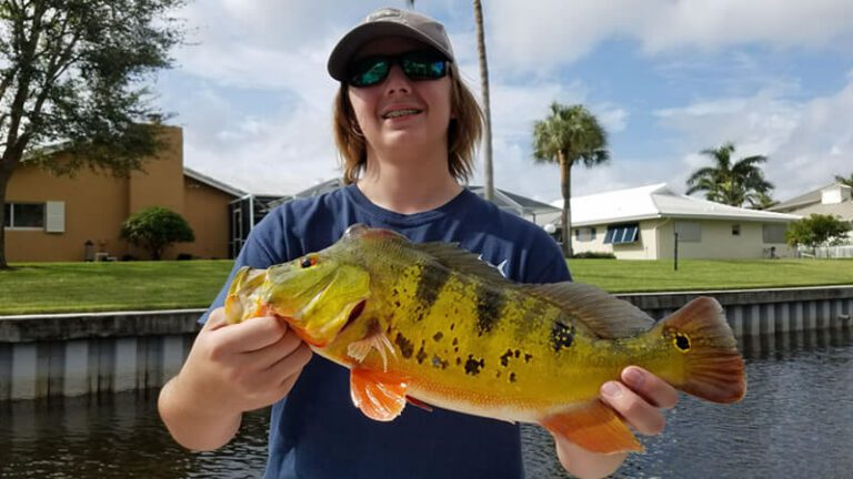 Great Peacock Bass Fishing Trip