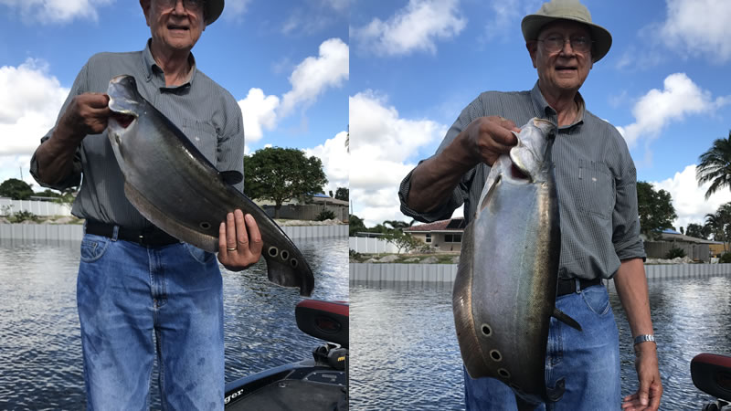 Fishing Lake Ida while Catching Florida Clown Knife Fish 1 Catching Florida Clown Knife Fish