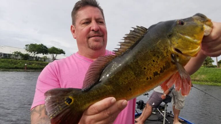 Cool Bass Fishing Trip