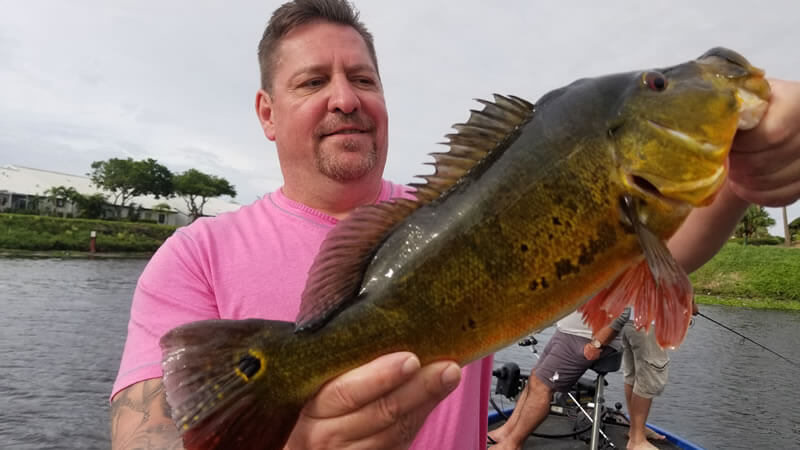 Cool Bass Fishing Trip