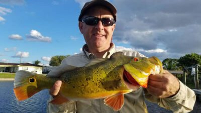 Awesome Artificial Fishing Trip