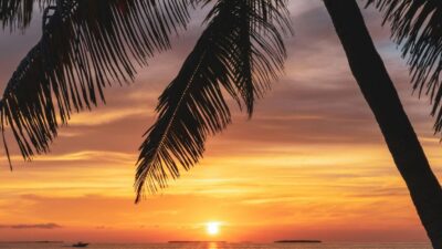 Marco Island, FL