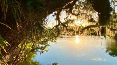 Deland, FL