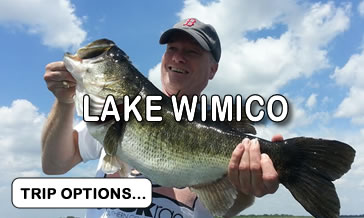 Lake Wimico photo