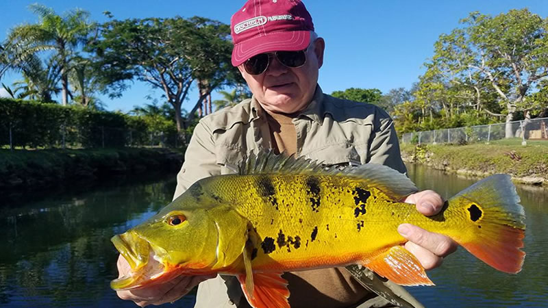 Quality Bass Fishing