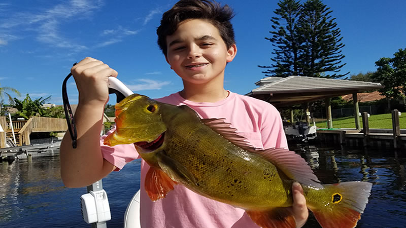 Quality Peacock Bass Fishing
