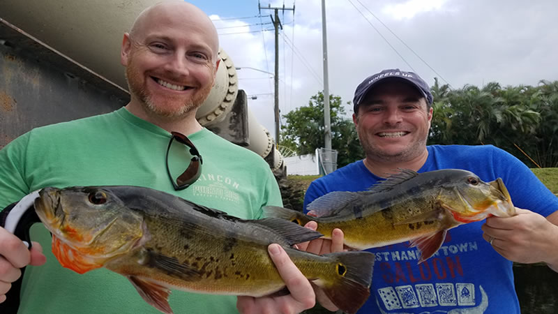 Peacock Bass Fishing Hunt