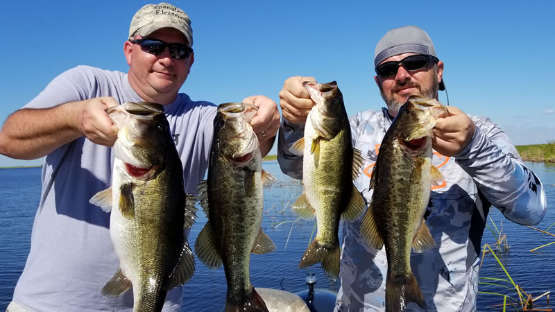 Two Okeechobee Adventures