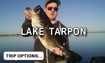 Lake Tarpon Fishing Guides - Lake Tarpon Fishing Season?