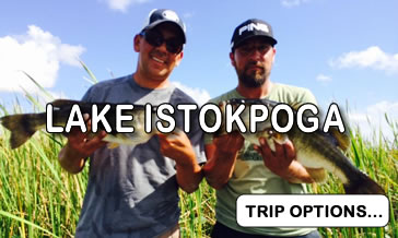 Lake Istokpoga